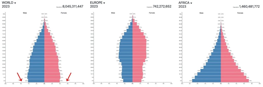 Population Pyramid
