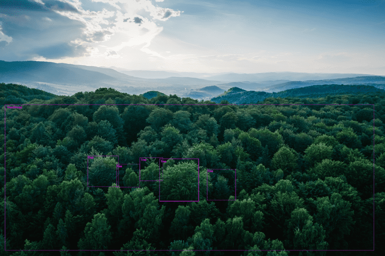 AI For A Green Fair And Safe World