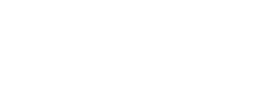 Macnica-Logo-Partner-Page