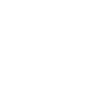 linkedin-icon