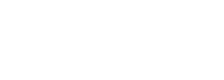 Macnica-Logo-Partner-netword