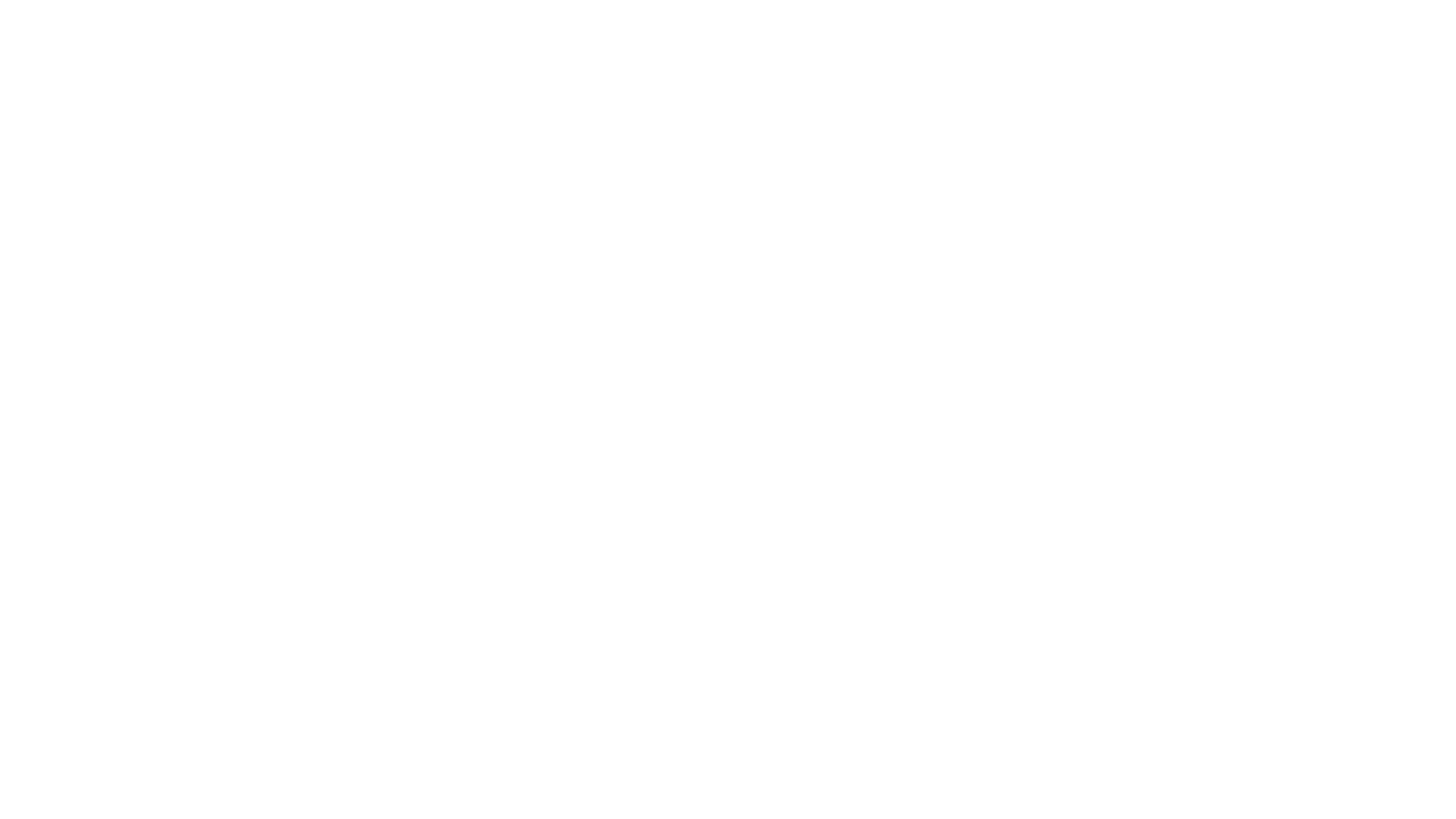 RidgeRun AI