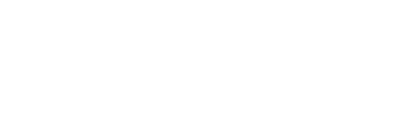 Rutronic-Logo-Partner-netword